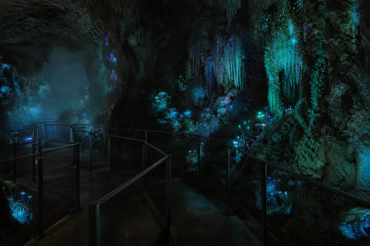 Avatar Flight of Passage Wait Times: Hour by Hour